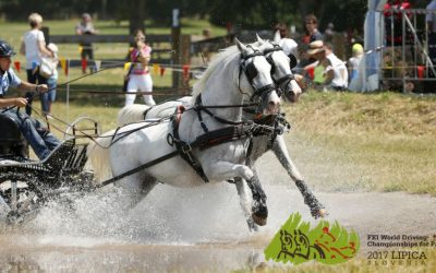 Majstrovstvá sveta v dvojzáprahoch Lipica 2017